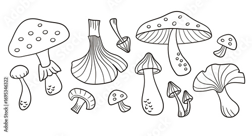 Mushroom hand drawn illustration collection. Variation of mushrooms icon doodle vector background.