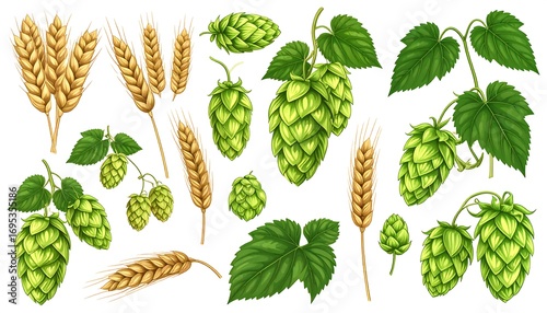 Collection of hops and barley