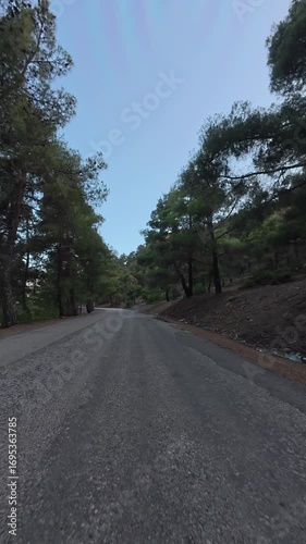 Road trees sky. High quality photo
