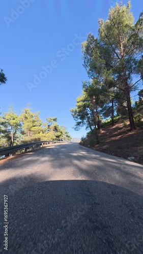 Empty winding road. Road trees sky. High quality photo