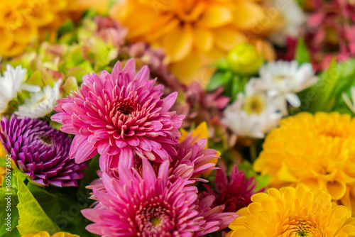 Autumn Fall Bouquet for Thanksgiving holiday. Seasonal Warm colorful blossom flowers arrangement festive decoration. Selective focus 