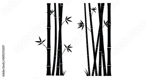 tall bamboo stalks with leaves against white background