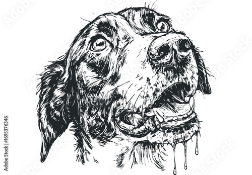 Dramatic monochrome drawing of a dog's head with dripping saliva. Vector hand drawn illustration