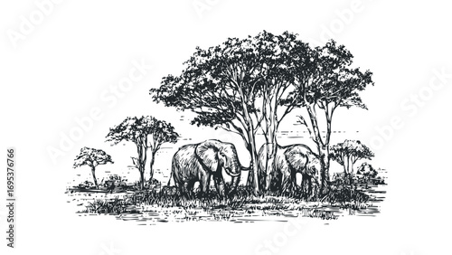 African elephant herd grazing among trees in sketch style on transparent. Vector hand drawn illustration