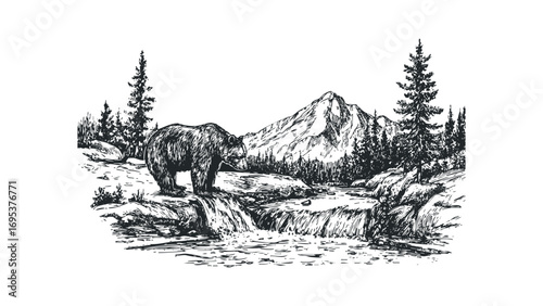 Bear standing on rocky ledge near cascading stream with pine trees and mountains. Vector hand drawn illustration