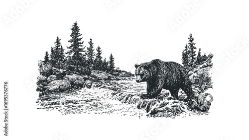 Grizzly bear walking along rocky river bank with pine trees. Vector hand drawn illustration