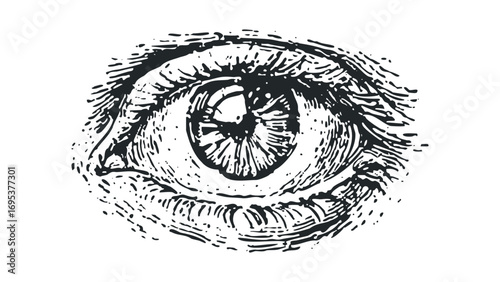 Engraved Human Eye Close Up Transparent. Vector hand drawn illustration