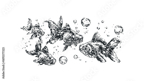 Four goldfish swimming in water with bubbles. Vector hand drawn illustration