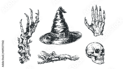 Spooky Halloween symbols including a witch hat, skull, skeletal hand, and gnarled branch on transparent background. Vector hand drawn illustration