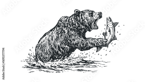Sketch of a brown bear catching a leaping salmon in water. Vector hand drawn illustration
