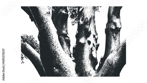 Stippled tree trunks, dense foliage texture, monochrome isolated. Vector hand drawn illustration