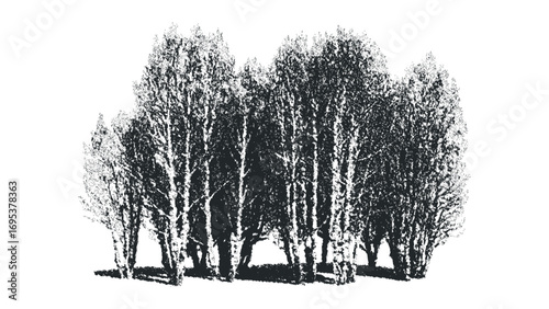 Textured forest grove with visible tree trunks and dense foliage. Vector hand drawn illustration