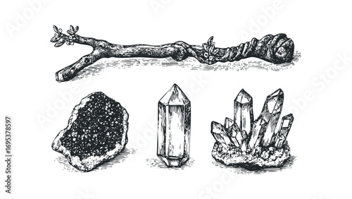 Ink drawing of a wooden wand with leaves and a cluster of crystals on white. Vector hand drawn illustration