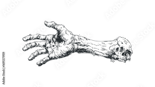 Hand emerging from skull bone, line art on transparent background. Vector hand drawn illustration