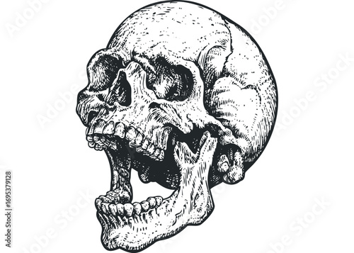 Vintage engraved skull with open jaw on transparent background. Vector hand drawn illustration