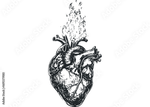 Anatomical Human Heart with Flames Image. Vector hand drawn illustration