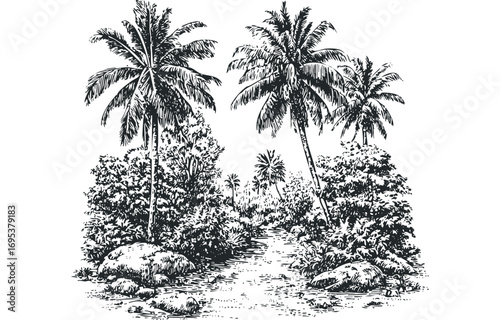 Tropical palm trees and foliage path image. Vector hand drawn illustration