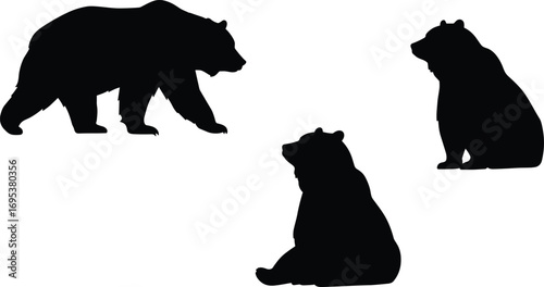 Silhouette collection of three bears in different poses, walking bear, sitting bear, wildlife animal illustration for nature and forest