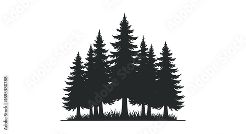 a cluster of tall pine trees standing together in forest