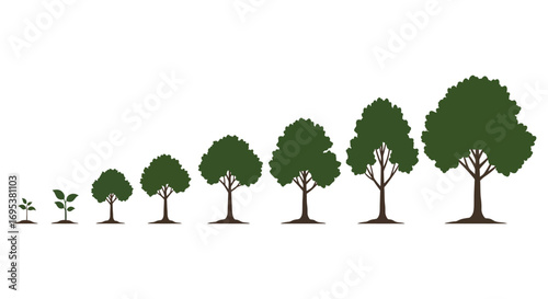 a row of trees showing growth stages from seedling to mature