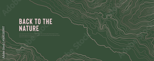 Green Topographic Map Background with Abstract Contour Line Pattern.