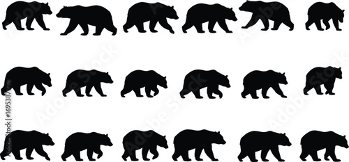 Silhouettes of walking bear in multiple positions isolated on white background, wild animal vector illustration, black bear movement graphic set