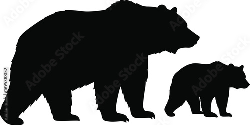 Silhouette of big bear with small cub isolated on white background, wildlife animal family, mother bear and baby together illustration