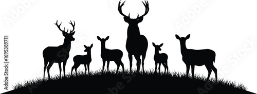 Deer family silhouettes standing on grass hill, wild animal herd illustration, wildlife vector design, nature forest scene, deer clipart set