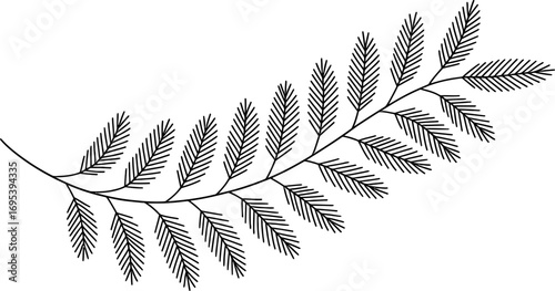 Black and White Line Art of a Fern Frond