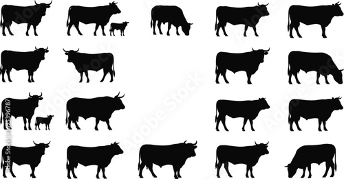 Black silhouettes of cows and calves, farm animals standing and grazing, rural livestock collection, isolated on white background, agricultural cattle set