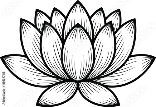Black and White Lotus Flower Illustration