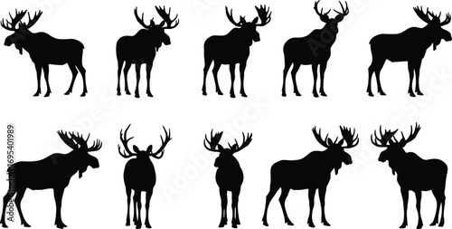 Moose silhouette set with antlers, wildlife animal vector illustration, forest nature design, black hunting graphic, mammal shape collection, elk