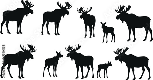 Moose silhouette collection with antlers, adult moose and calf design, wildlife animal vector illustration, forest nature graphic, hunting symbol
