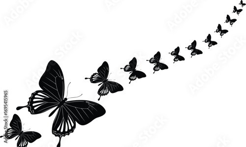 Butterflies flying in curved motion, black silhouette vector art with perspective depth, graceful wing patterns and nature-inspired decorative design