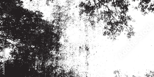 Monochrome Grungy Tree Branches Abstract Texture Overlay