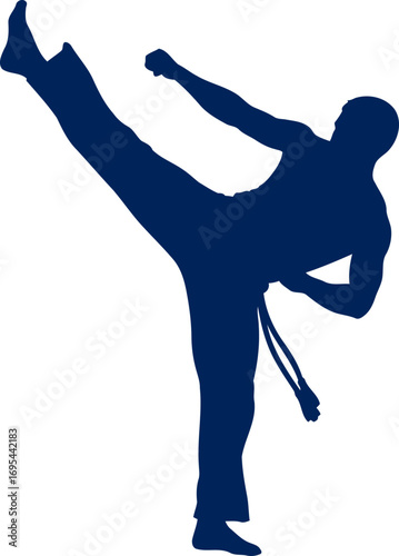 brazilian capoeira silhouette dynamic kick, acrobatics, and cultural heritage, isolated on transparent background