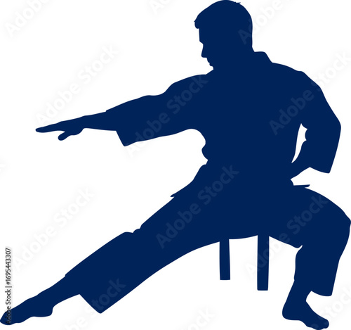 karate silhouette the focused warrior, mastering balance and strength, isolated on transparent background