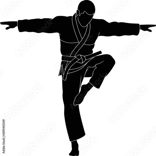 martial arts silhouette focused balance, poised strength, disciplined grace, inner peace, powerful stance, isolated on transparent background