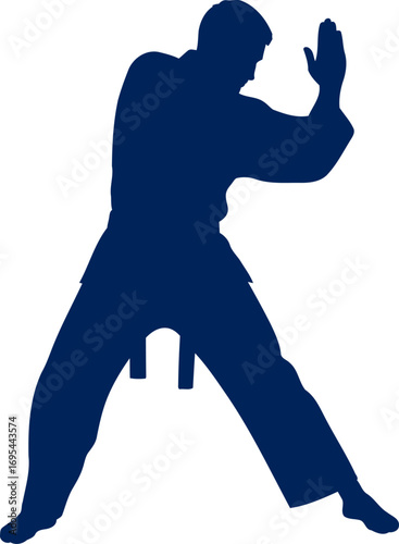 martial arts silhouette focused strength, defensive posture, inner peace, isolated on transparent background