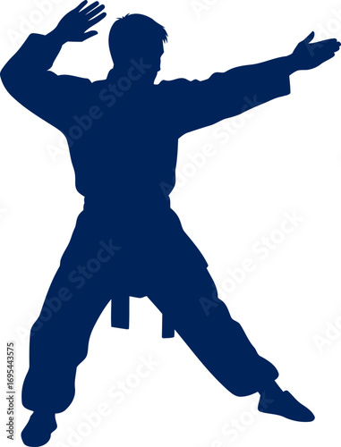 martial arts silhouette focused intensity, powerful stance, and the spirit of discipline, isolated on transparent background