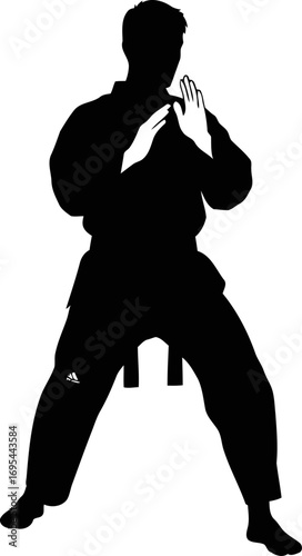 martial arts silhouette powerful stance, focused energy, inner peace, black belt mastery, self defense training, isolated on transparent background