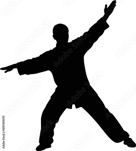 silhouette of a martial artist finding balance, inner peace, and strength, isolated on transparent background