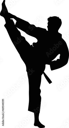 the graceful silhouette of a karate master highflying kick, unwavering focus, and limitless potential, isolated on transparent background