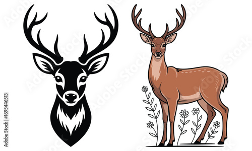 deer vector illustration