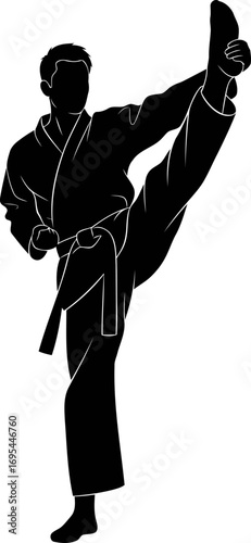 karate high kick silhouette the grace of power, the focus of strength, the spirit of martial arts, isolated on transparent background