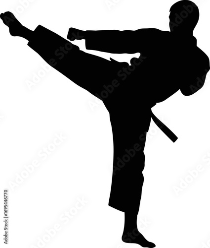 karate silhouette the forceful impact of a high kick, martial arts power, isolated on transparent background