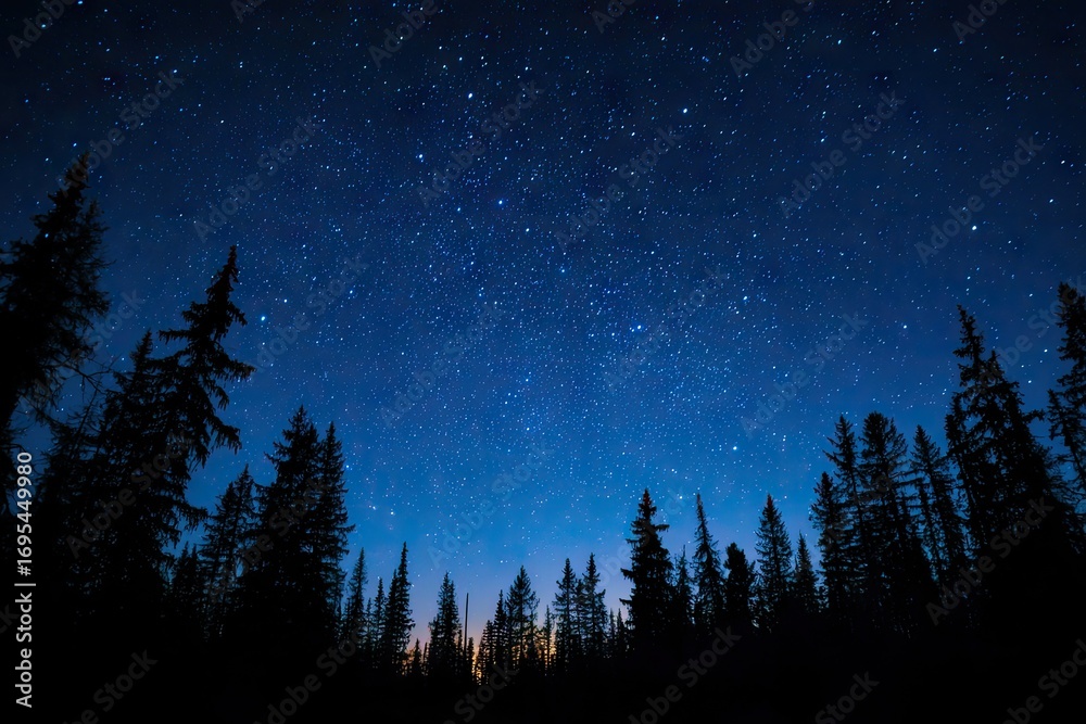 Fototapeta premium Dark silhouettes of pines against a vibrant night sky filled with stars