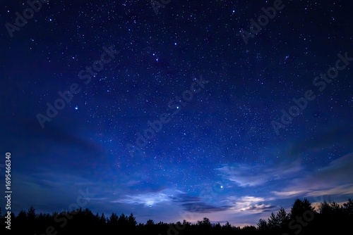 Starry night sky over a dark forest