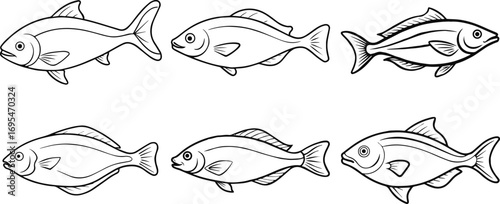 Collection of Halibut fish outline vector illustration line art
