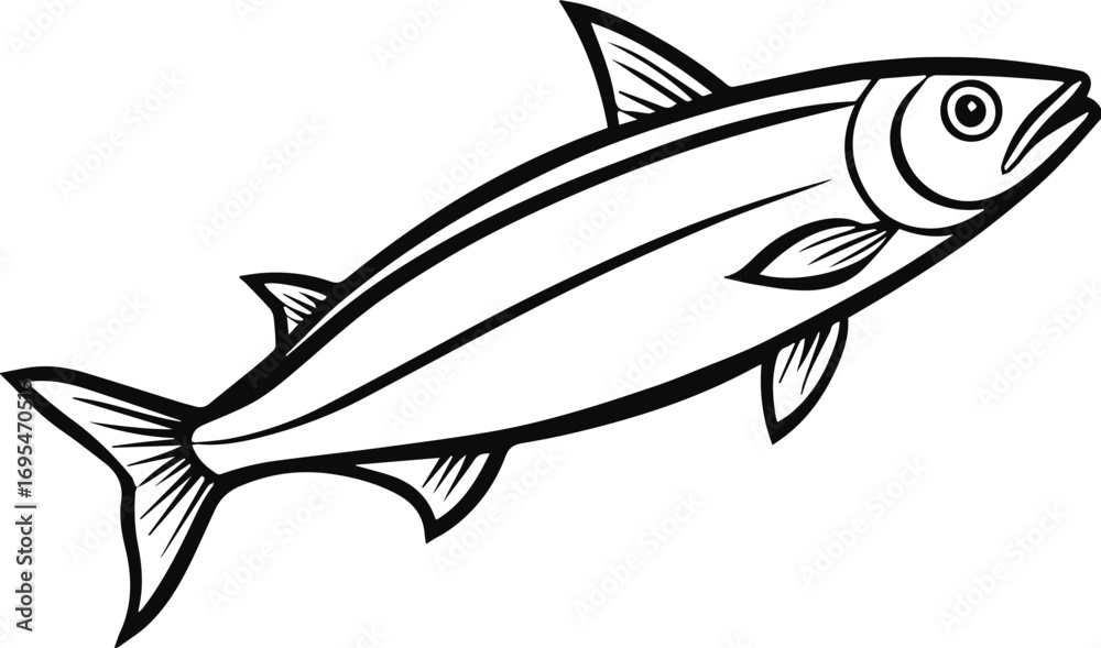 Fototapeta premium herring fish outline vector and illustration line art
